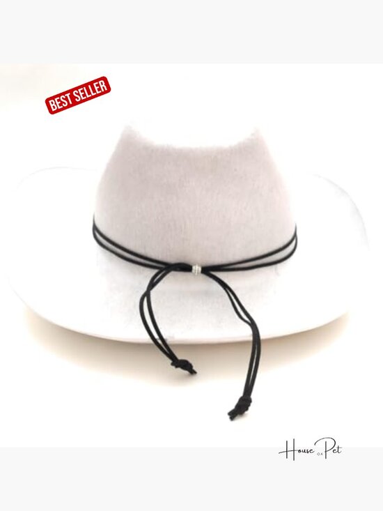 Adjustable Southwestern Cowboy Hat Band with Bolo Slide Closure main image 4